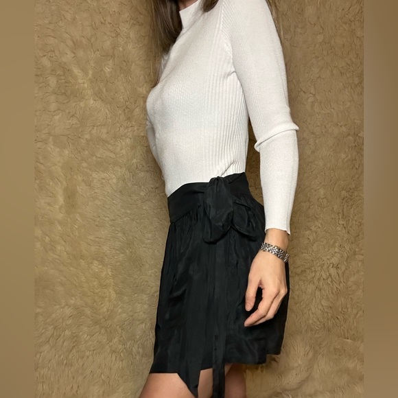 Express skirt - Picture 2 of 2